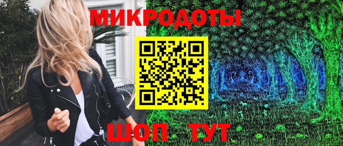 Галлюциногенные грибы Psilocybe Киров