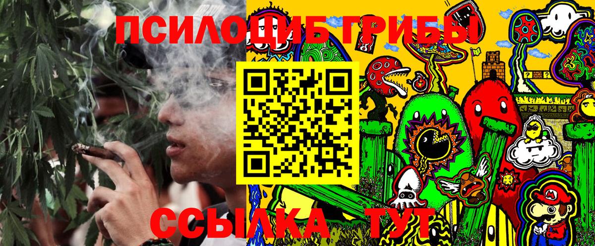 Псилоцибиновые грибы MAGIC MUSHROOMS  Вход с VPN  Киров 